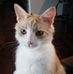 Profile Picture of Sharon Knopp (@sharon.knopp.35) on Facebook