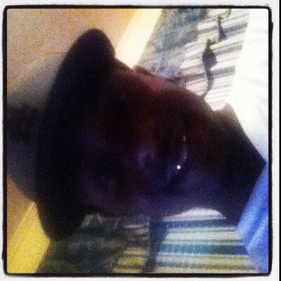 Profile Picture of Reginald Curry (@cumupkid26) on Twitter