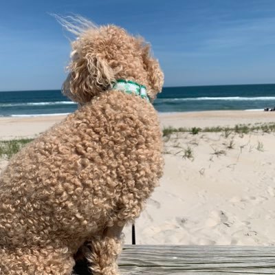 Profile Picture of Daniel Dunlap (@DirtyDan2004) on Twitter