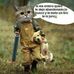 Profile Picture of Julio Chauca (@julio.chauca.37) on Facebook