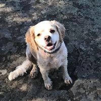 Profile Picture of Jean Velasquez (@jean-velasquez-5) on Quora