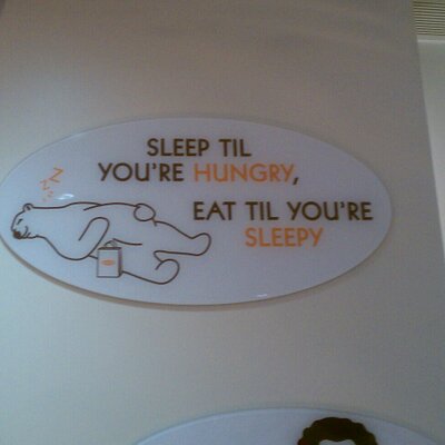 Profile Picture of Michael DiLallo (@dilallomh) on Twitter