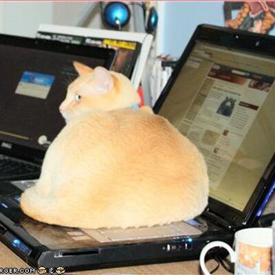 Profile Picture of Jonathan Silvers (@kittyonmahfoot) on Twitter