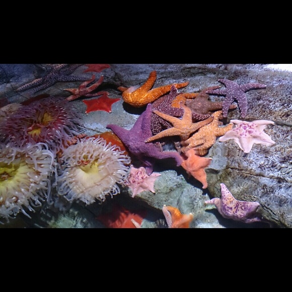 Profile Picture of Andrea Cordova (@andrea2621) on Poshmark