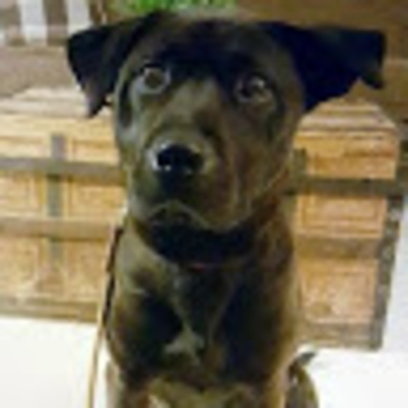 Profile Picture of Evan Rigterink (@evanrigterink) on Poshmark