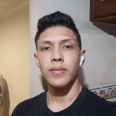 Profile Picture of MICHAEL STEVEN ALFONSO PARDO (@MICHAEL32163659) on Twitter