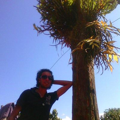 Profile Picture of Subash Gurung (@subashgurung27) on Twitter