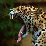 Profile Picture of Mario Cabezas Estevez (@mariocabezas4) on Instagram