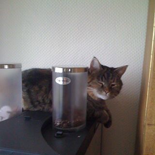 Profile Picture of Ernst Hagemann (@Ernst-Hagemann) on Facebook