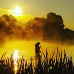 Profile Picture of mark_angling (@mark_angling) on Instagram