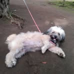 Profile Picture of Nancy Sales (@nancy.sales.482677) on Facebook