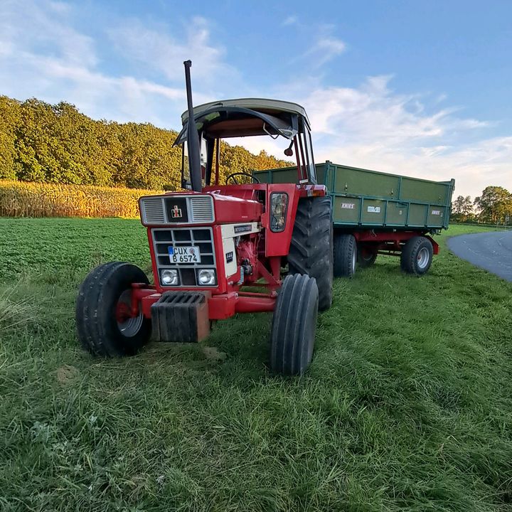 Aaron_Bueltmann - Tiktok Profile Picture of Aaron_Bueltmann (@aaron_bueltmann) on Tiktok