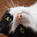 Profile Picture of Pawel.nowak (@pawel.nowak) on Flickr