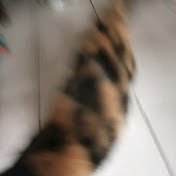 Profile Picture of Lorenzo Caballero (@LorenzoCaballero-b2p) on Youtube