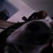 Profile Picture of Brian Kessler (@bkbriguy31) on Pinterest