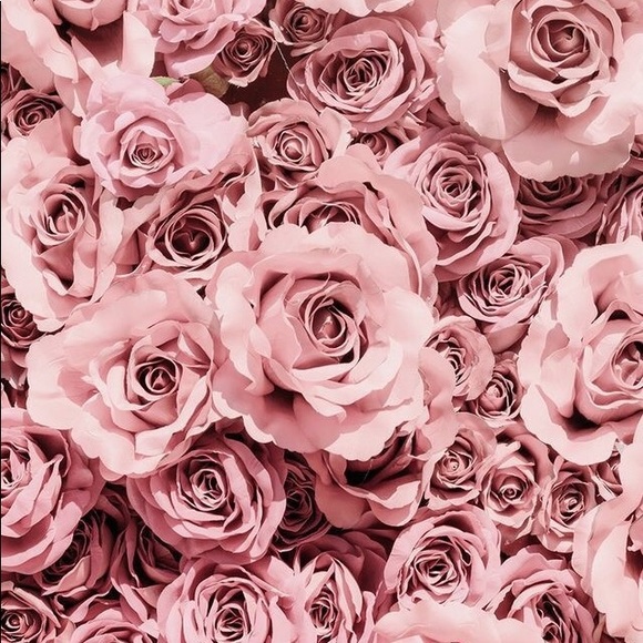 Profile Picture of Whitney Beard (@whitneybeard) on Poshmark