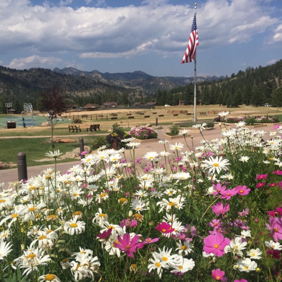 Profile Picture of Krystal Ragone (@rkragone1021) on Poshmark