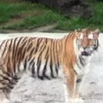 Profile Picture of Jake Chase (@yoloswagmaster12) on Instagram