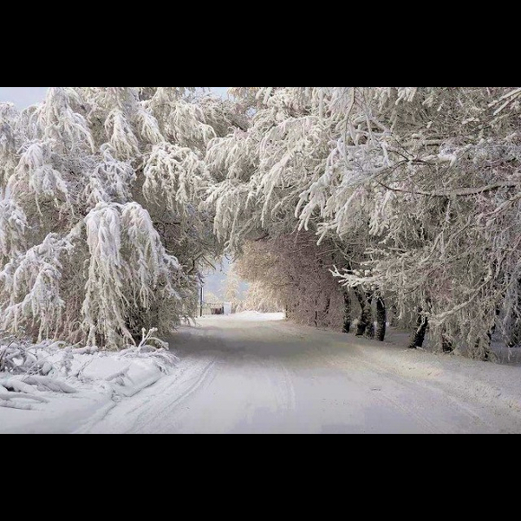 Profile Picture of Larysa Bernor (@shaherezada) on Poshmark