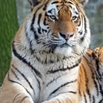 Profile Picture of Dennis Art (@Dennis-Art) on Facebook