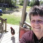 Profile Picture of Tammy Davidson (@bamatammy62) on Instagram