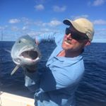 Profile Picture of David mackay (@pinnacleseafood) on Instagram