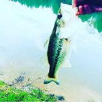 Profile Picture of brently clark stephenson (@itz_yo_boy_brent) on Instagram