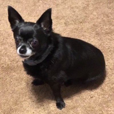 Profile Picture of Charlene Foster (@Charfoster1219) on Twitter