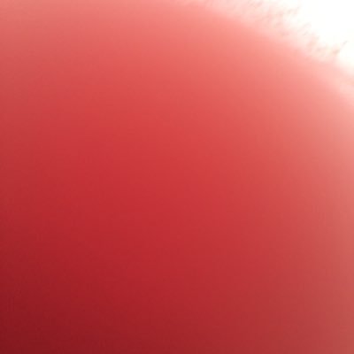 Profile Picture of DanielleroseLeBlanc (@DaniRoseLeblanc) on Twitter