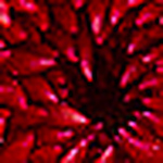 Profile Picture of Daniele Brant Calomino (@DANI BRANT CALOMINO) on Flickr