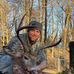 Profile Picture of Joseph Delgiudice (@joseph.delgiudice.5) on Facebook