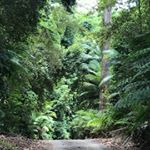 Profile Picture of Brian doyle (@briand1956) on Instagram