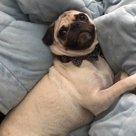 Profile Picture of Danielle Vaughn (@vaughnds95) on Poshmark