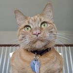 Profile Picture of Emily grey (@_bionicangel) on Instagram