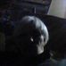 Profile Picture of Mark Crocco (@Mark-Crocco) on Facebook