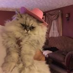 Profile Picture of Lori Edgar (@loriedgar3122) on Instagram