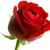 Profile Picture of Sharmin Reza (@sharminreza1334) on Youtube