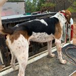 Profile Picture of Greg Carpenter (@carpenter1996) on Instagram