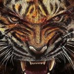 Profile Picture of John Abner Macuchapi Huayhua (@johnabnermacuchapi) on Instagram