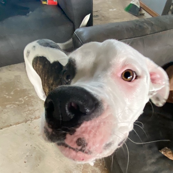 Macy Demichael - Poshmark Profile Picture of Macy Demichael (@mdemichael) on Poshmark