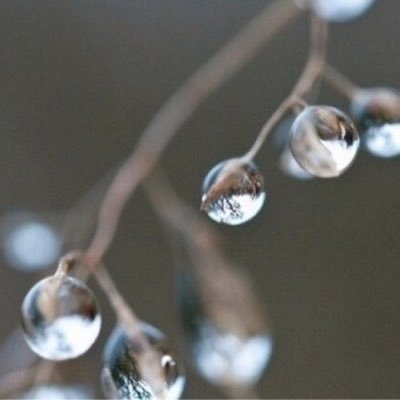 Profile Picture of Wang hua (@wanghua13661661) on Twitter