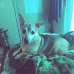 Profile Picture of Lucille Johnson (@lucille.johnson.3511) on Instagram