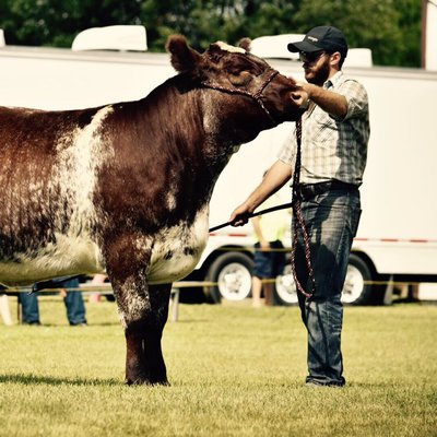 Profile Picture of Justin Kristjansson (@KFShorthorns) on Twitter