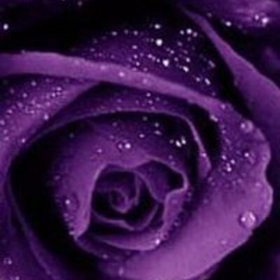 Profile Picture of Keisha Edwards (@Kae77) on Twitter