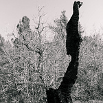 Profile Picture of Cleydson Costa (@cley costa) on Flickr