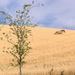 Profile Picture of Jim Casey (@caseyeugenia) on Pinterest