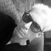 Profile Picture of Saidreadacuss Maximus Clay (@cedricbrashear) on Pinterest