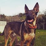 Profile Picture of Michael Van Slyke (@michael_van__slyke) on Instagram