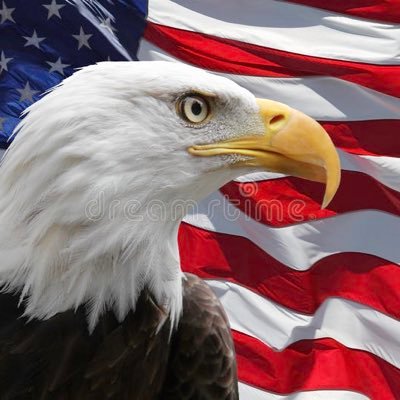 Profile Picture of Jim Rickman (@Steelrfan66) on Twitter