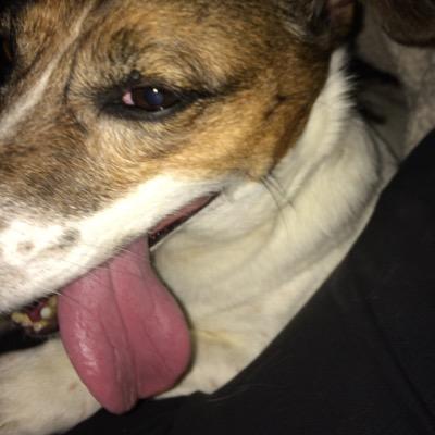 Profile Picture of Shawn Hiller (@sdhiller) on Twitter